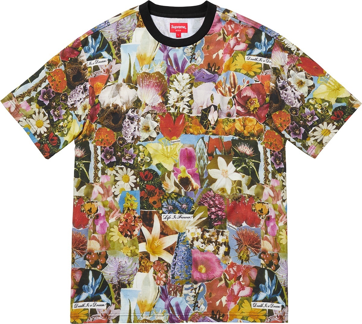 Dream S/S Top